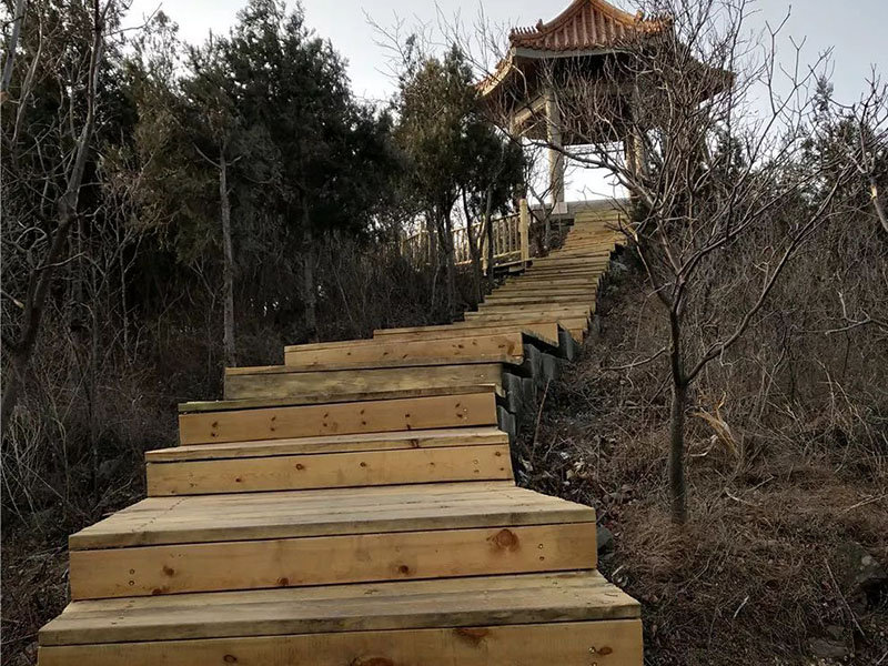 蟒山森林公園木棧道